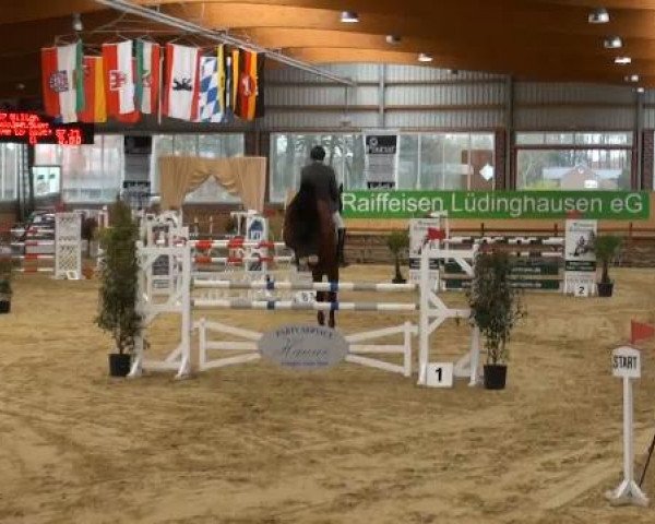 Rosendorf-Classics 2012