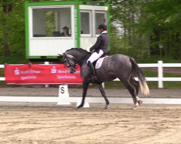 Reitturnier Dressurturnier Mildstedt 2024