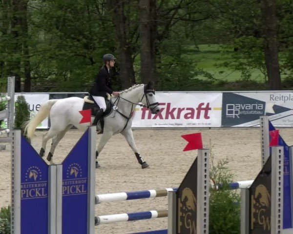 Reitturnier Karlsfeld/Obb. 2024