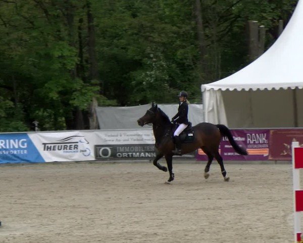 Reitturnier Karlsfeld/Obb. 2024