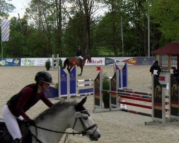Reitturnier Karlsfeld/Obb. 2024