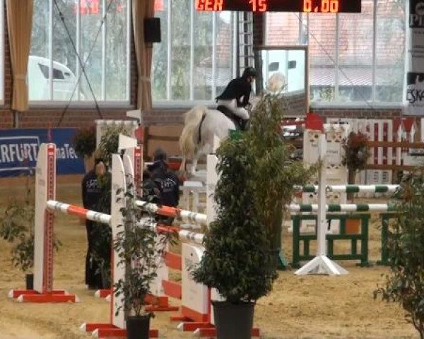 Rosendorf-Classics 2012