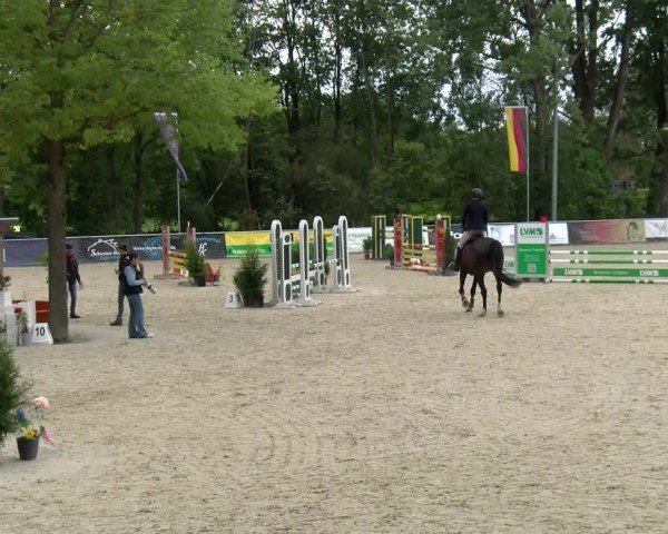 Reitturnier Karlsfeld/Obb. 2024
