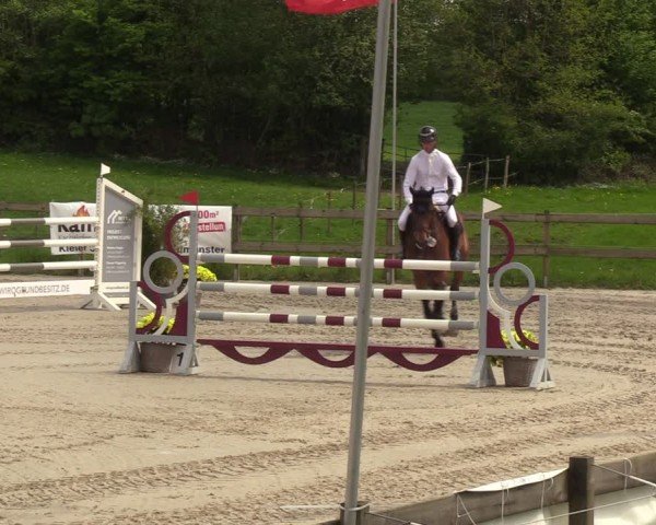 Reitturnier Looperholzer Turniertage 2024