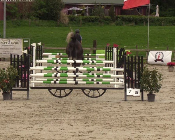 Reitturnier Looperholzer Turniertage 2024