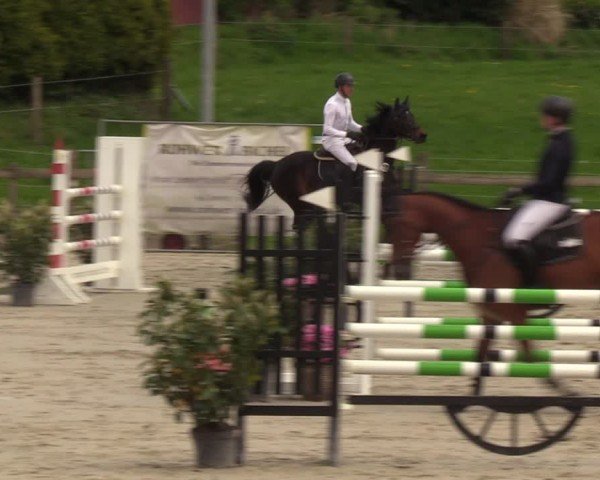 Reitturnier Looperholzer Turniertage 2024
