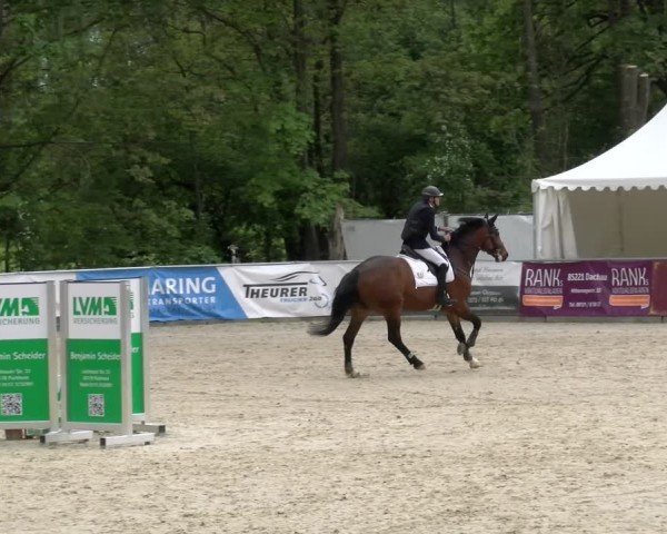 Reitturnier Karlsfeld/Obb. 2024