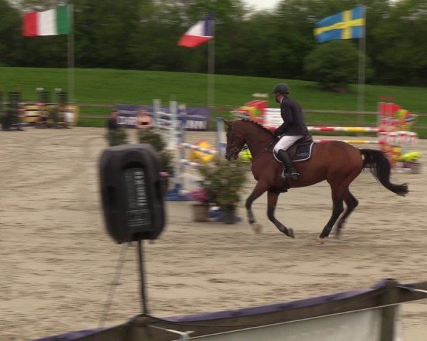 Reitturnier Looperholzer Turniertage 2024