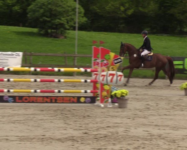 Reitturnier Looperholzer Turniertage 2024