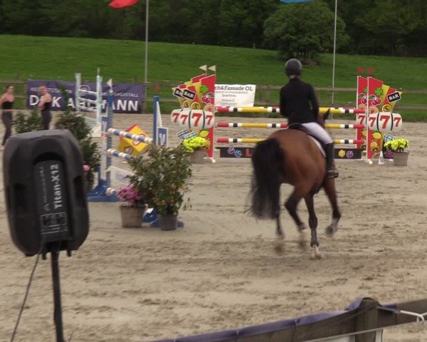 Reitturnier Looperholzer Turniertage 2024