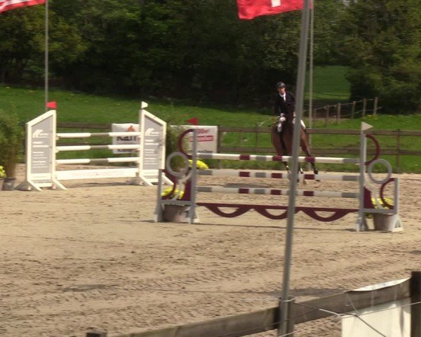 Reitturnier Looperholzer Turniertage 2024