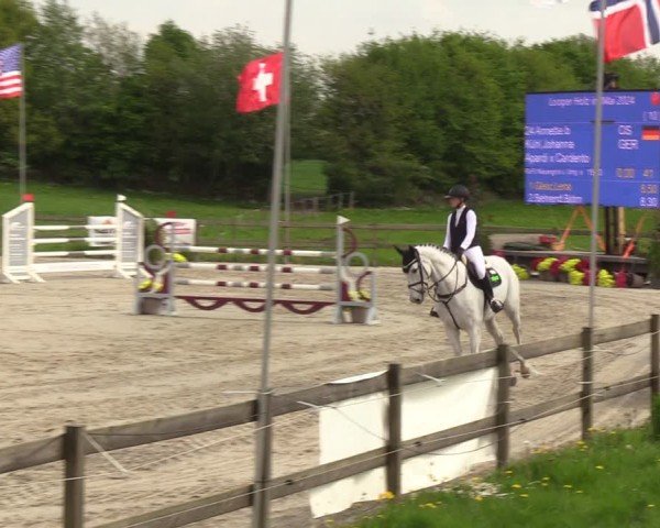 Reitturnier Looperholzer Turniertage 2024