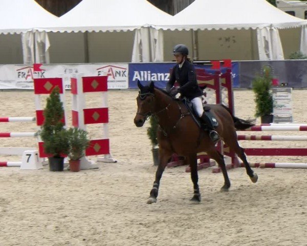 Reitturnier Karlsfeld/Obb. 2024