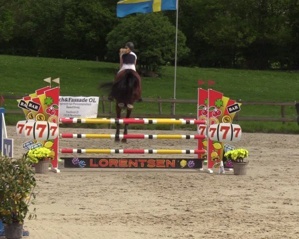 Reitturnier Looperholzer Turniertage 2024