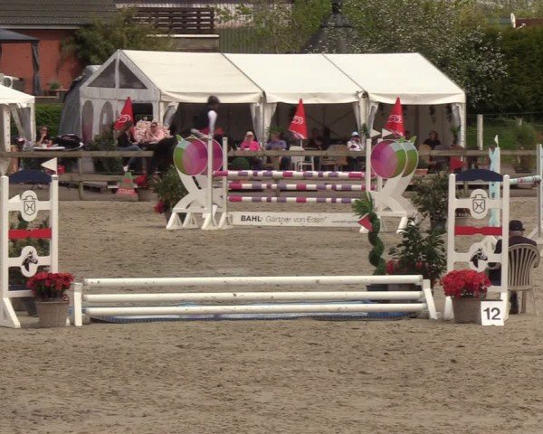 Reitturnier Looperholzer Turniertage 2024