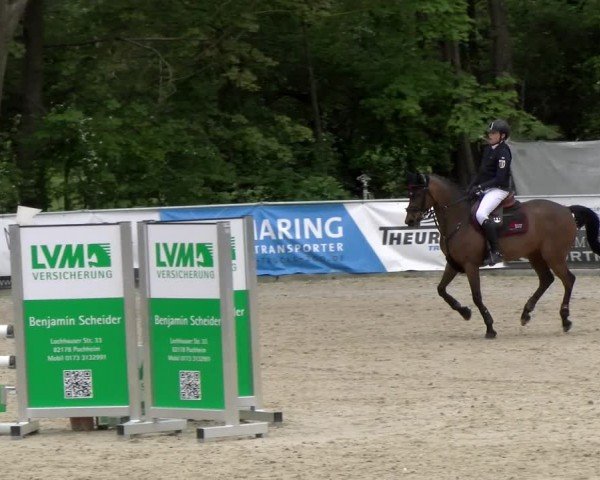 Reitturnier Karlsfeld/Obb. 2024
