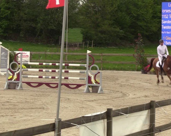 Reitturnier Looperholzer Turniertage 2024