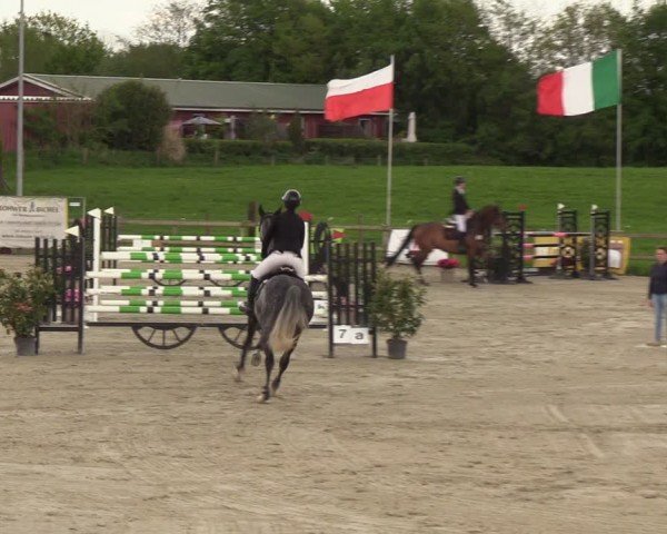 Reitturnier Looperholzer Turniertage 2024