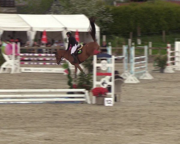 Reitturnier Looperholzer Turniertage 2024