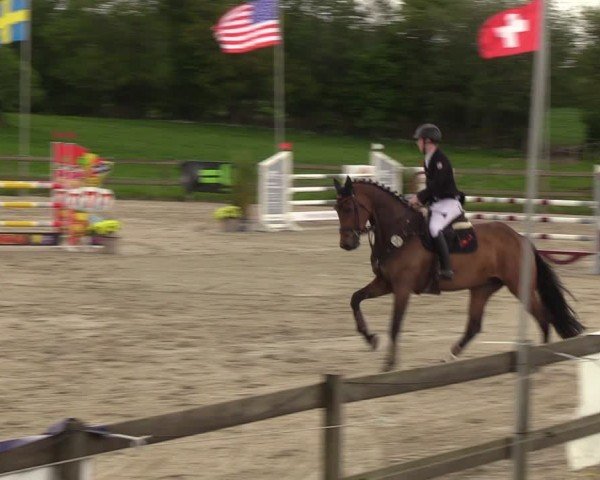 Reitturnier Looperholzer Turniertage 2024