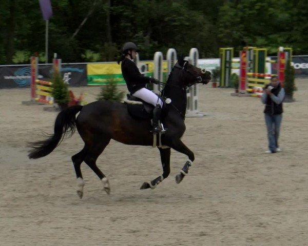 Reitturnier Karlsfeld/Obb. 2024