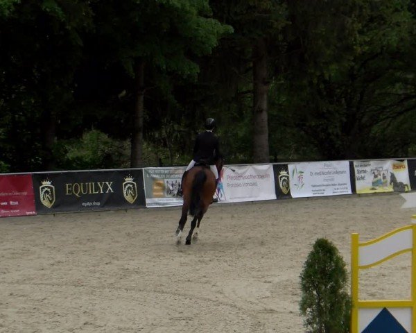 Reitturnier Karlsfeld/Obb. 2024