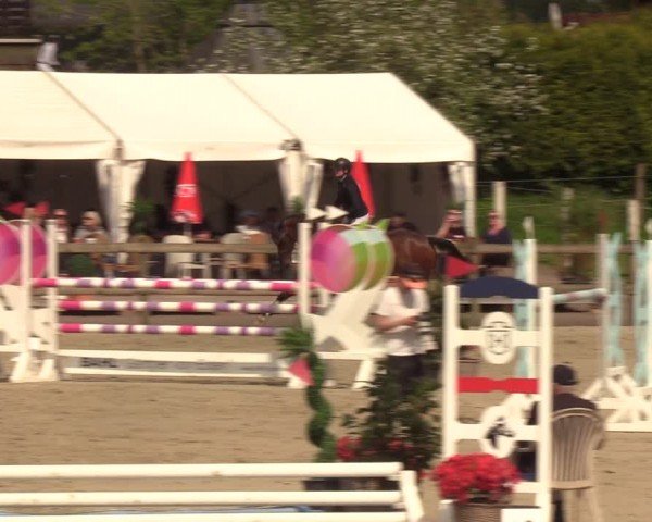Reitturnier Looperholzer Turniertage 2024