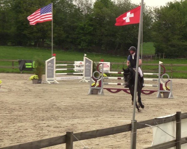 Reitturnier Looperholzer Turniertage 2024