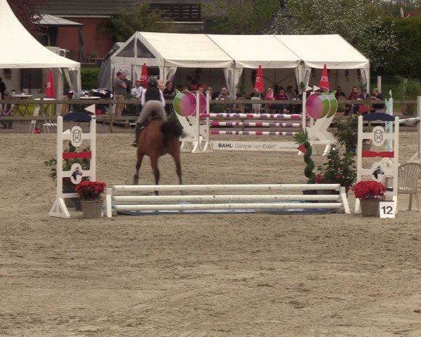 Reitturnier Looperholzer Turniertage 2024