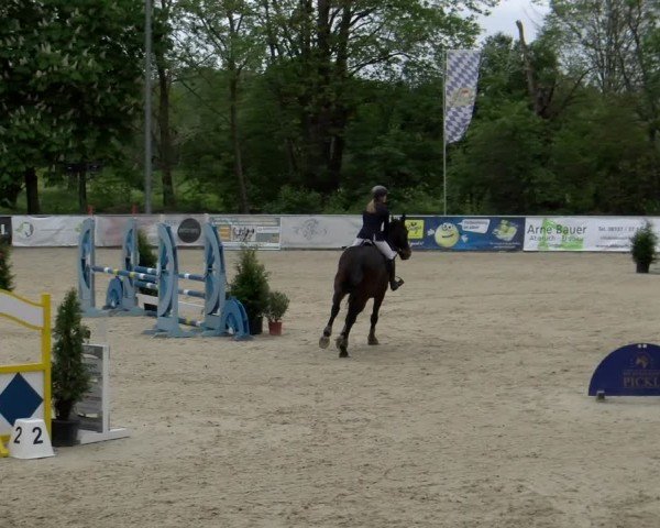 Reitturnier Karlsfeld/Obb. 2024