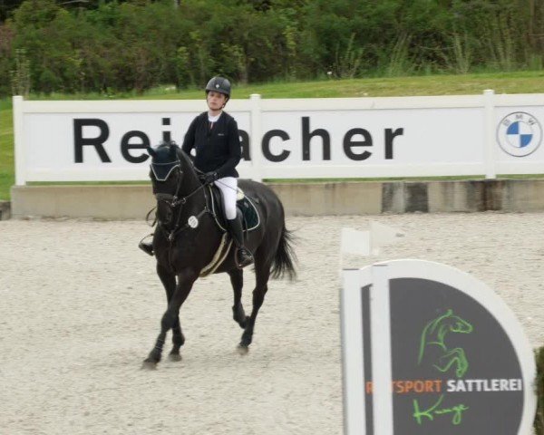 Reitturnier Babenhausen/Schw. 2024