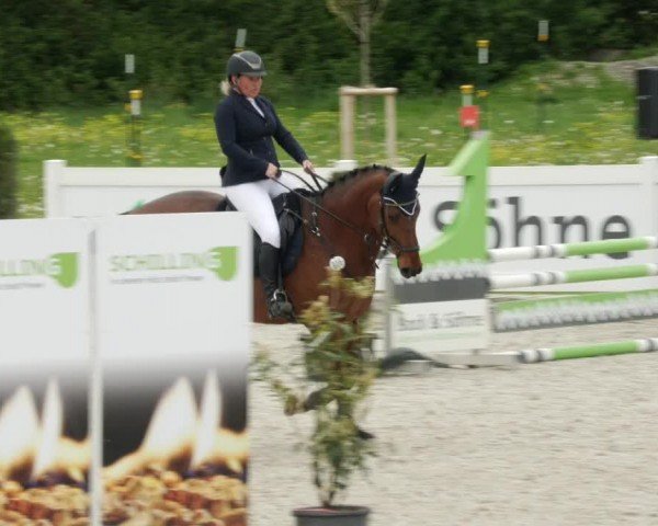 Reitturnier Babenhausen/Schw. 2024