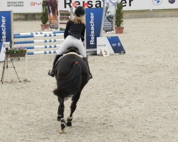 Reitturnier Babenhausen/Schw. 2024