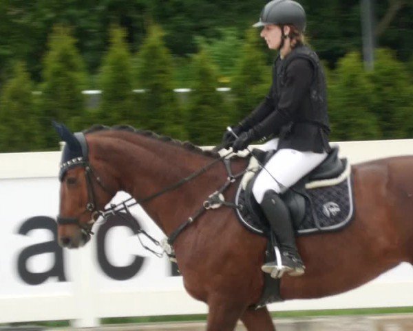 Reitturnier Babenhausen/Schw. 2024