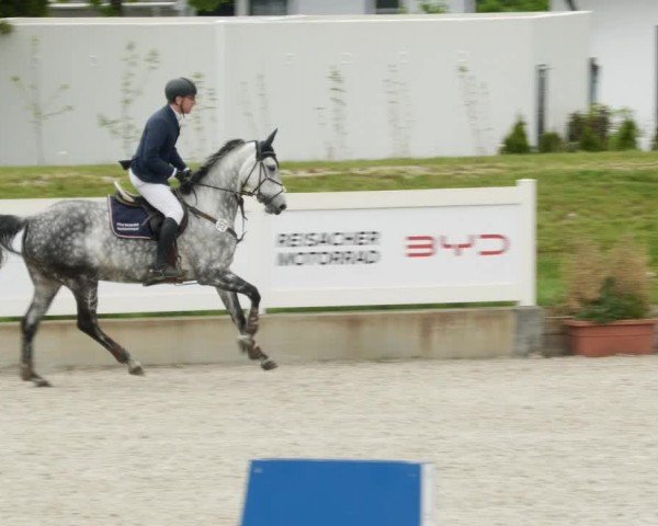 Reitturnier Babenhausen/Schw. 2024