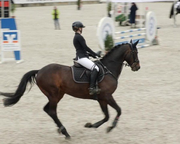 Reitturnier Babenhausen/Schw. 2024