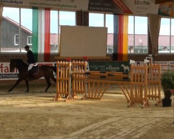 Rosendorf-Classics 2012
