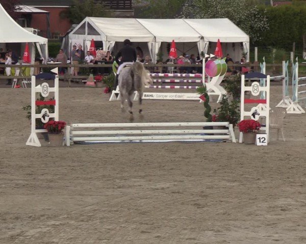 Reitturnier Looperholzer Turniertage 2024