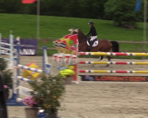 Reitturnier Looperholzer Turniertage 2024