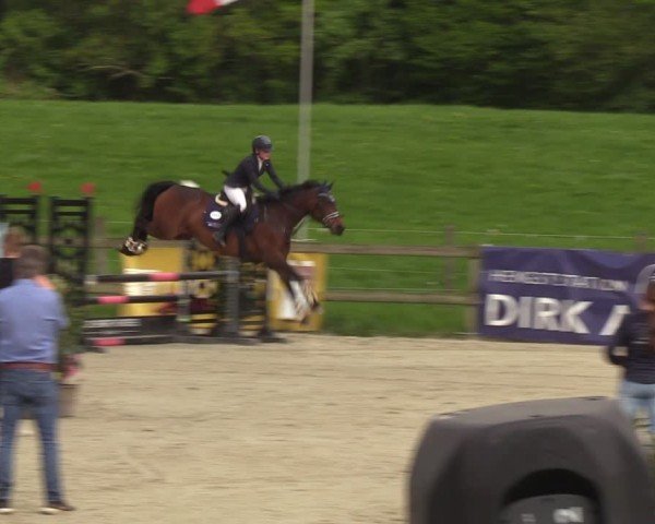 Reitturnier Looperholzer Turniertage 2024