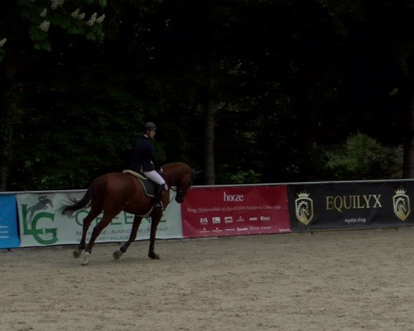 Reitturnier Karlsfeld/Obb. 2024