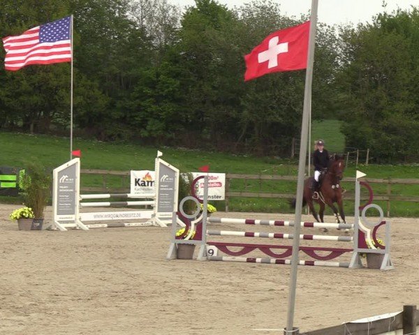 Reitturnier Looperholzer Turniertage 2024