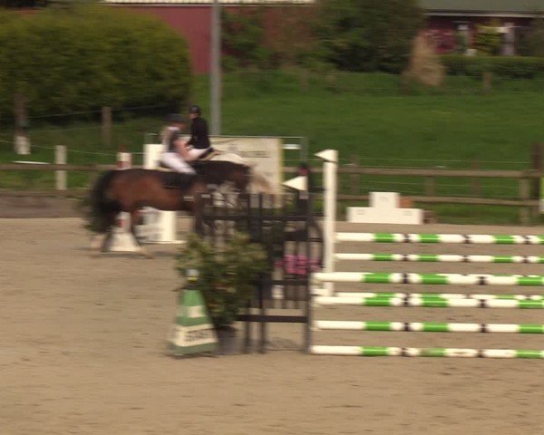 Reitturnier Looperholzer Turniertage 2024