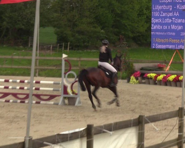 Reitturnier Looperholzer Turniertage 2024