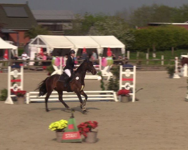 Reitturnier Looperholzer Turniertage 2024