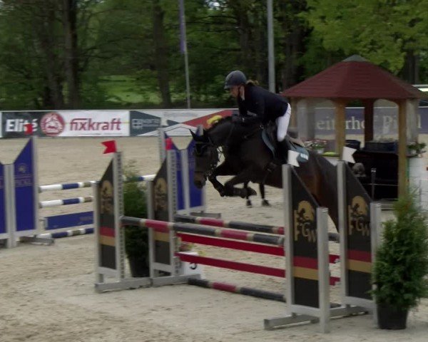 Reitturnier Karlsfeld/Obb. 2024