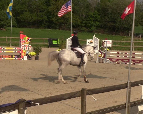 Reitturnier Looperholzer Turniertage 2024