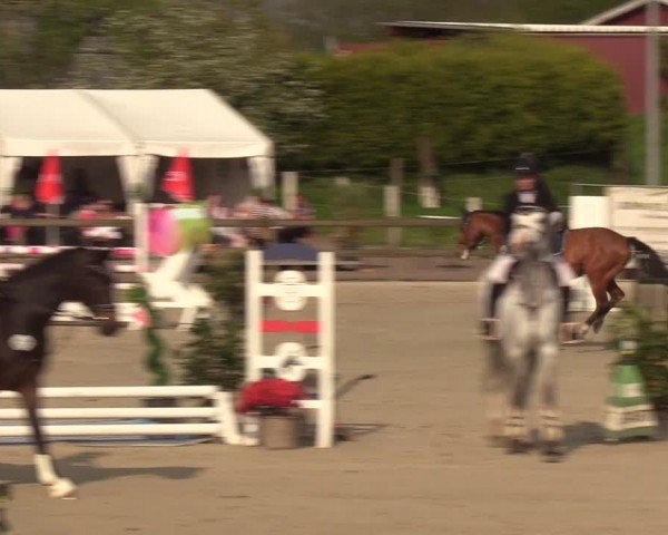 Reitturnier Looperholzer Turniertage 2024