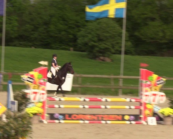 Reitturnier Looperholzer Turniertage 2024
