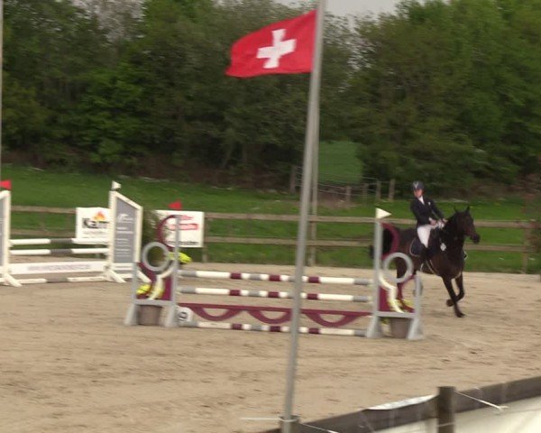 Reitturnier Looperholzer Turniertage 2024